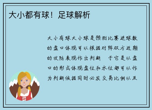 大小都有球！足球解析